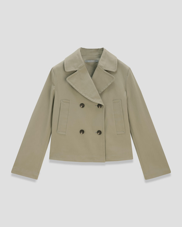 【Theory】Newton Aliyah NL 【Theory】Newton Aliyah NL