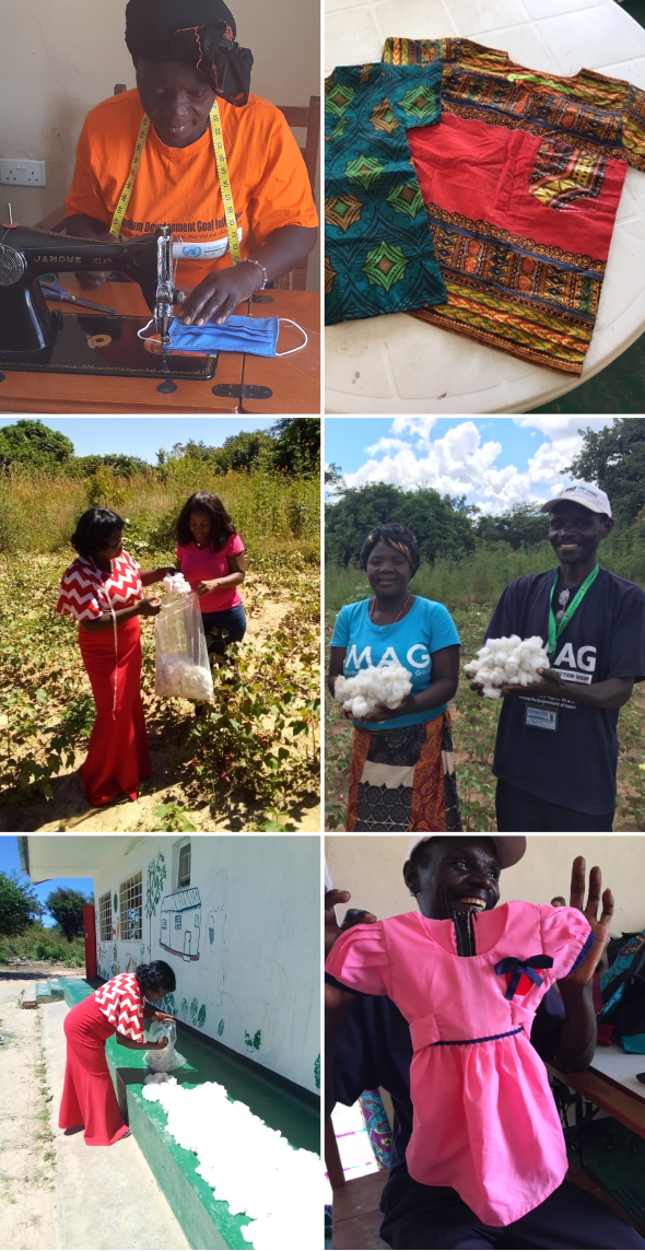 The Cotton Cultivation